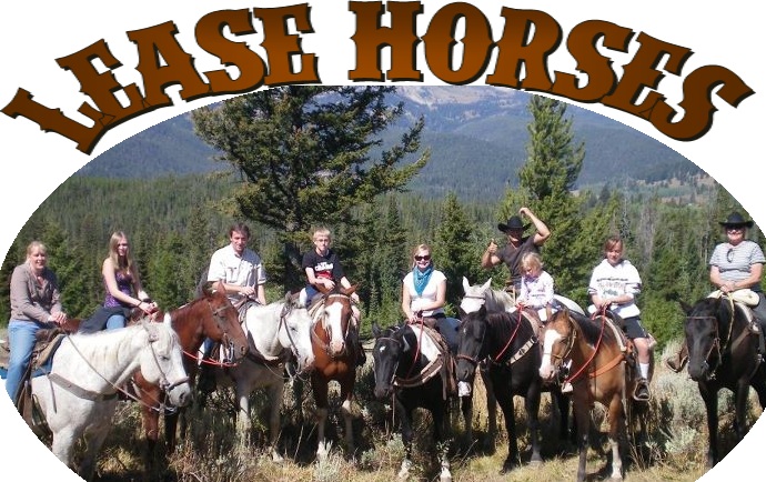 Lease Horses