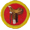 scout badge 4