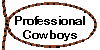 Professional Cowboys