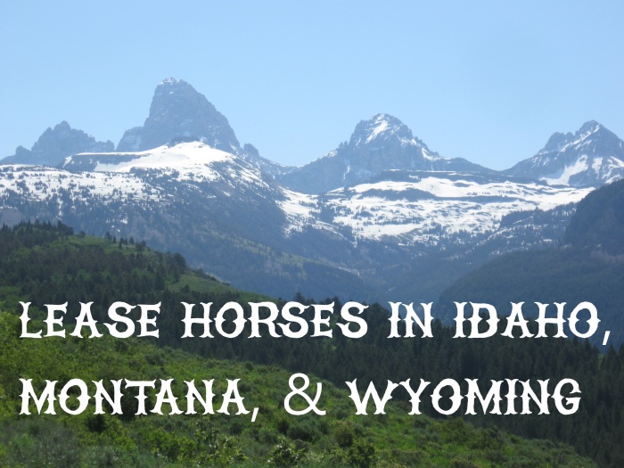 Lease Horses in Idaho Wyoming or Montana